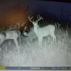 Photo by BR Outfitters