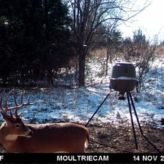 Photo by BR Outfitters