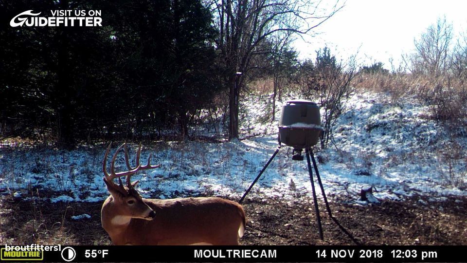 Enlarged photo by BR Outfitters