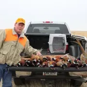 Brown's Pheasant Hunting