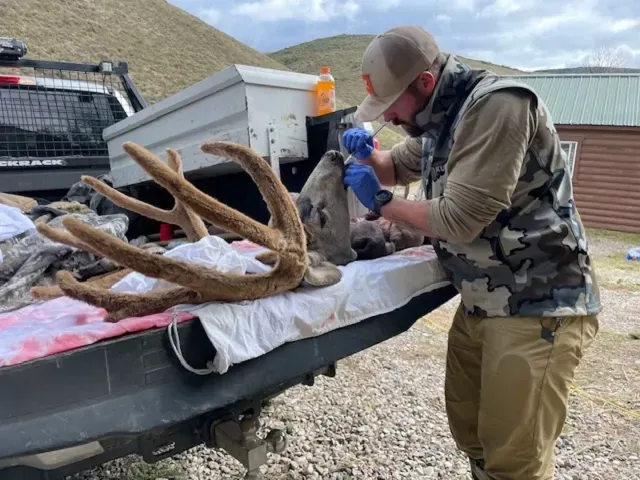 Clothing cover Clothing cover