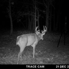 Photo by BR Outfitters