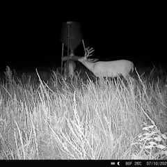 Photo by BR Outfitters