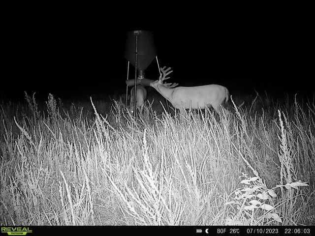 Enlarged photo by BR Outfitters