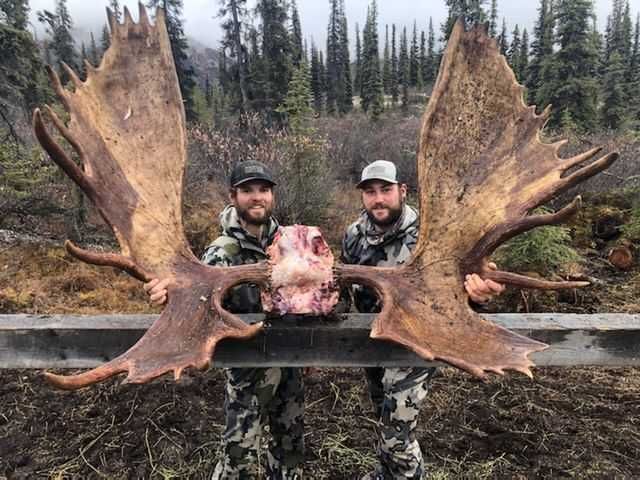 Predator hunt - Wolf and Grizzly | Tombstone Outfitters