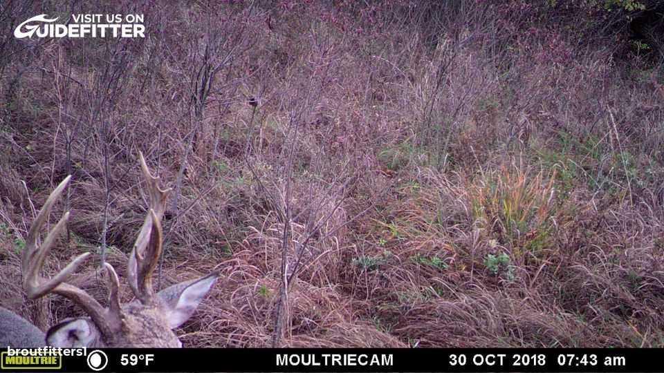 Enlarged photo by BR Outfitters