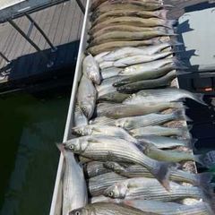 Photo by Troys Guide Service