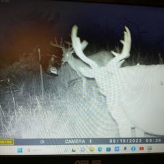 Photo by BR Outfitters