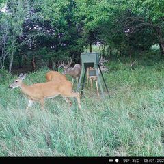 Photo by BR Outfitters