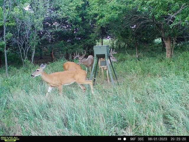 Enlarged photo by BR Outfitters