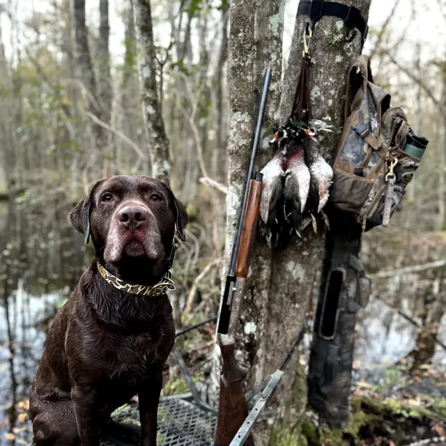 My go to bag for any walk in hunts. Holds plenty of gear ...
