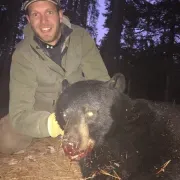 Michigan Bear Guiding