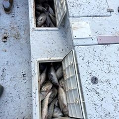 Photo by Troys Guide Service