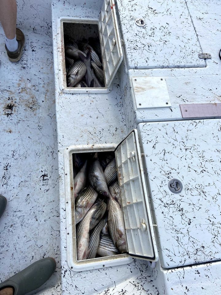 Enlarged photo by Troys Guide Service