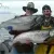 Tim Berg's Alaskan Fishing Adventures, LLC