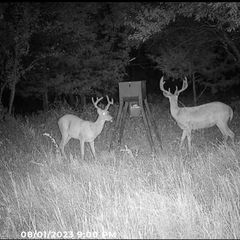 Keep calm and know your targets. Kansas shooters are big.
Don't shoot Mini-Me when Dr. Evil is lurking in the brush.
#6