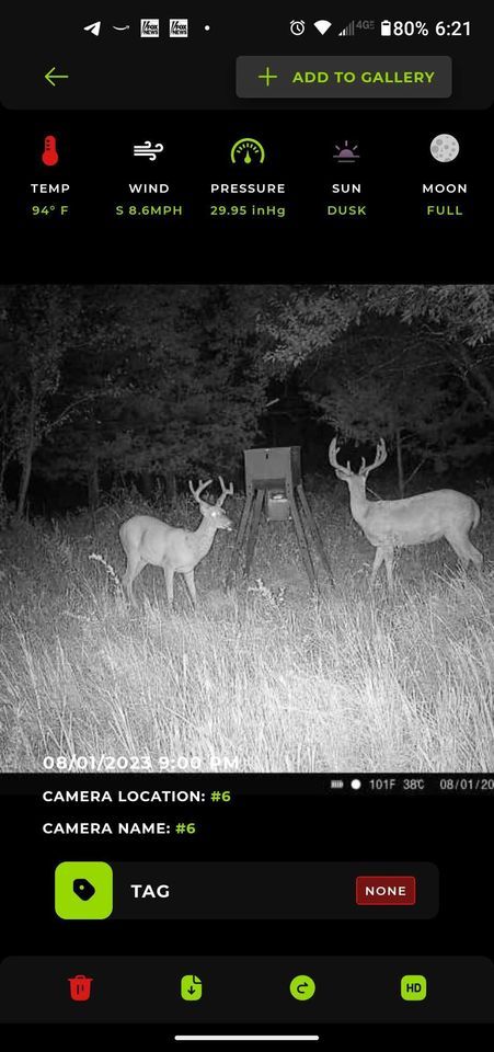 Keep calm and know your targets. Kansas shooters are big.
Don't shoot Mini-Me when Dr. Evil is lurking in the brush.
#6