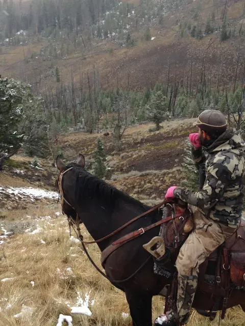 Camping Equipment cover